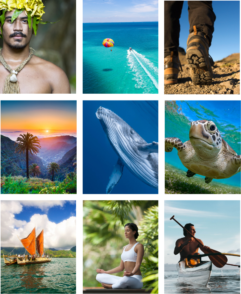 Tourism booking solution
